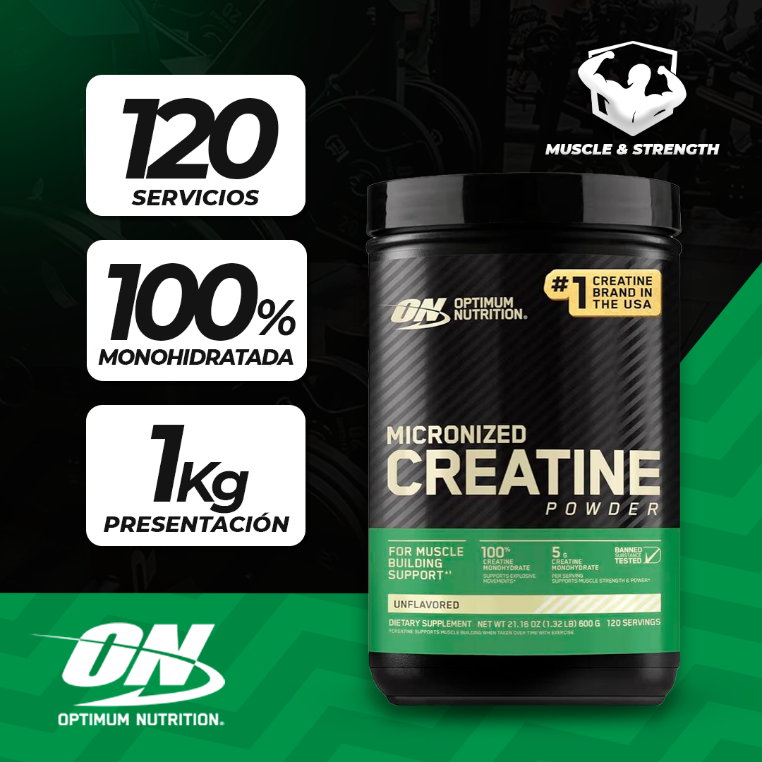 Micronized Creatine Powder - 600g