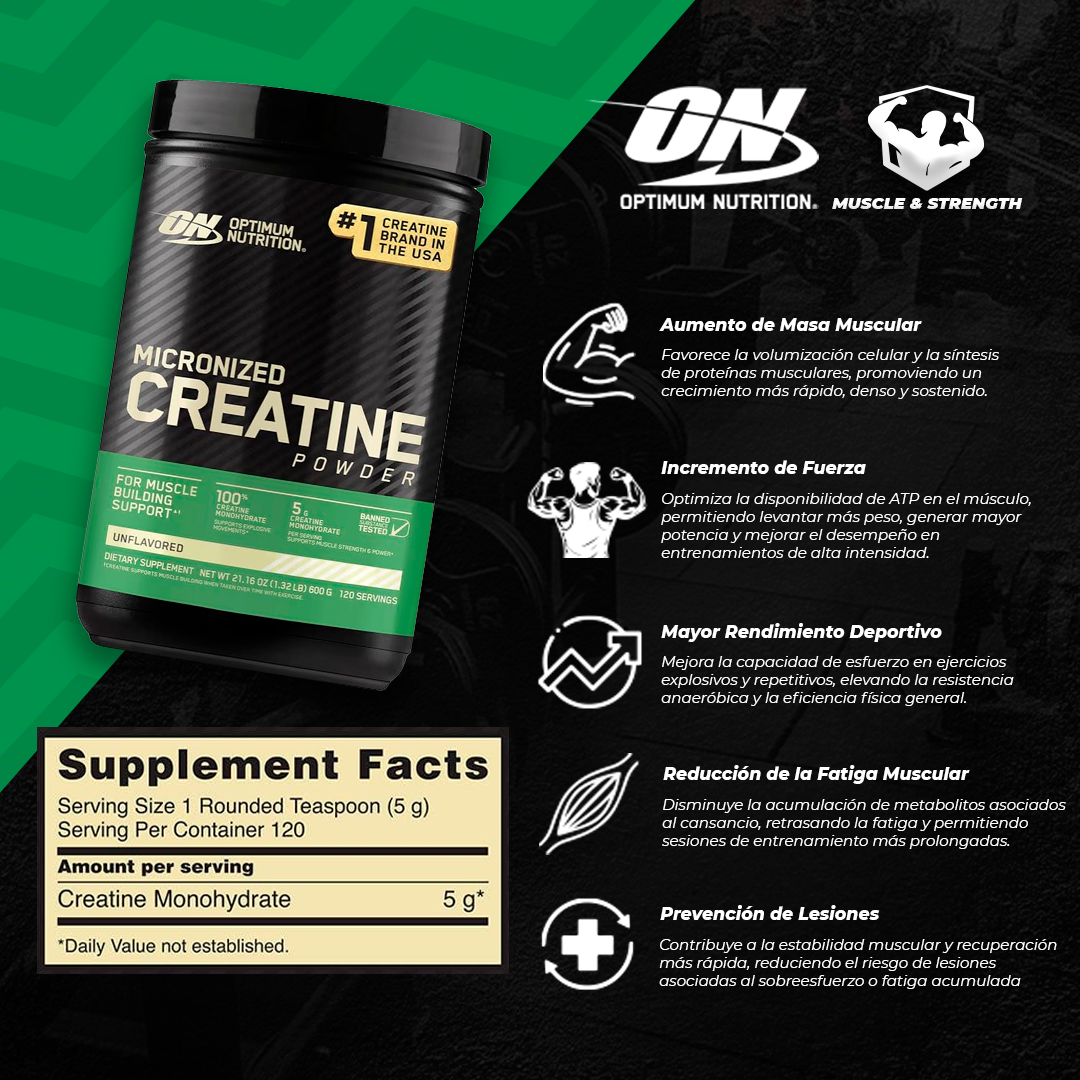 Micronized Creatine Powder - 600g