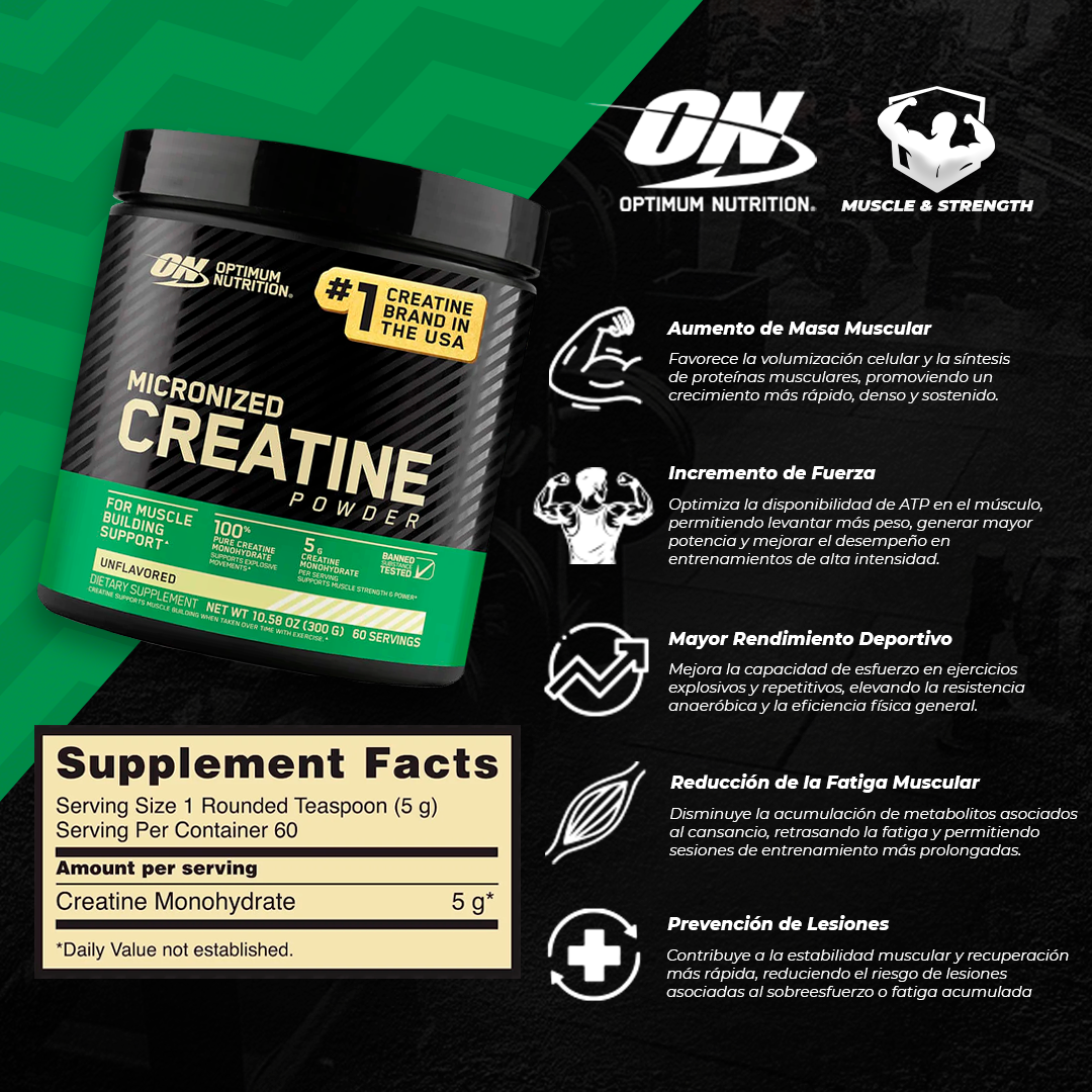 Micronized Creatine Powder - 300g